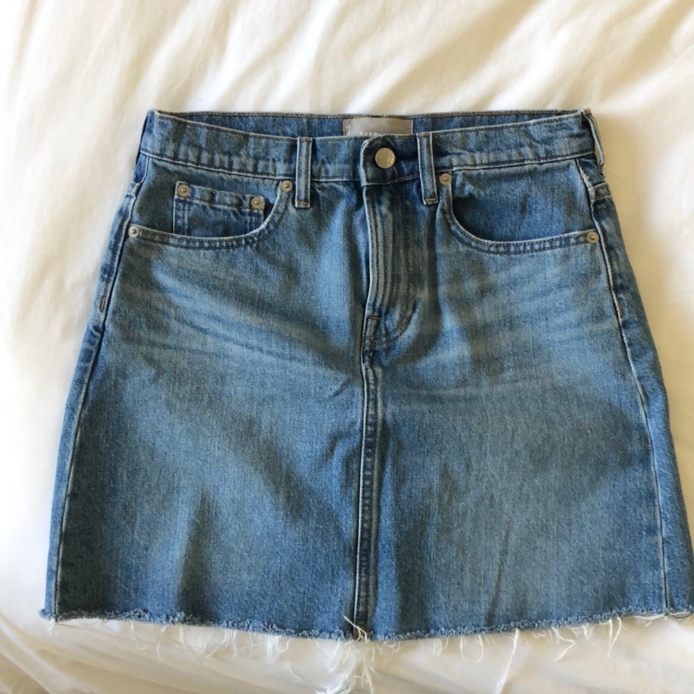 Everlane Denim Skirt Raw Hem